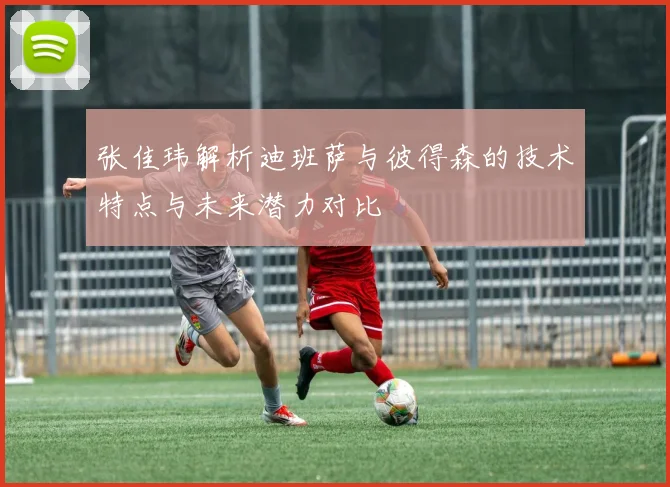 张佳玮解析迪班萨与彼得森的技术特点与未来潜力对比